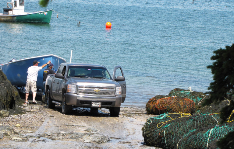 Rockweed landed at a boat yard in Hancock.