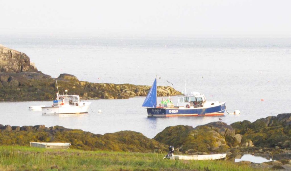 Boats in a cove on Long Island in Casco Bay