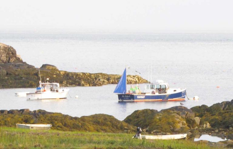 Boats in a cove on Long Island in Casco Bay