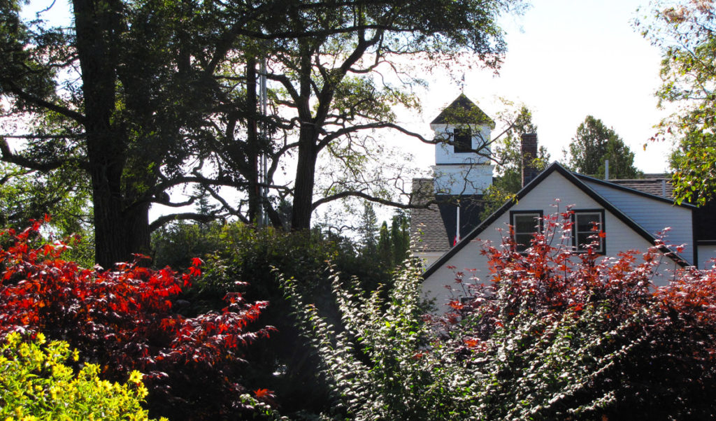 A summer scene on Great Cranberry Island.