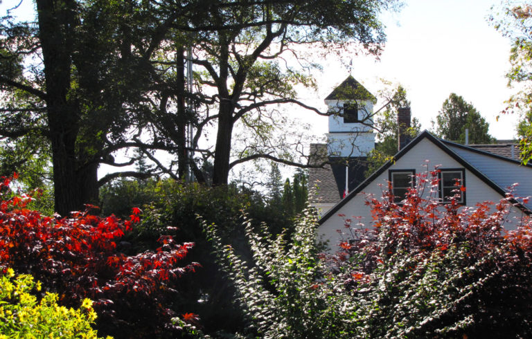 A summer scene on Great Cranberry Island.