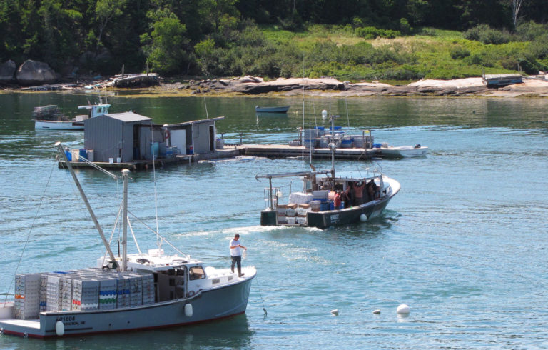 A fishing boat brings its catch to a buying station in Stonington.
