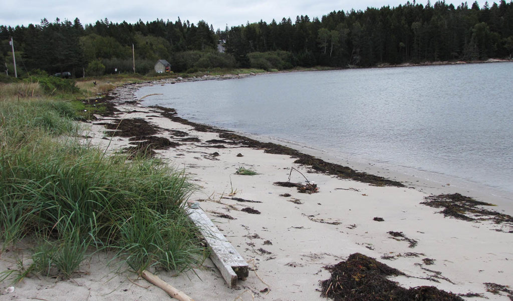 Carrying Place beach on Swan's Island.