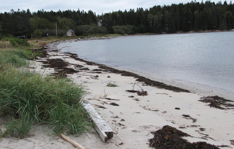 Carrying Place beach on Swan's Island.