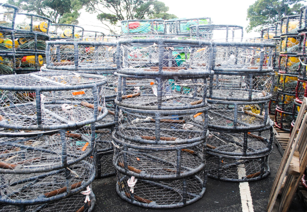 Ready and waiting for the crab fishery to open in California