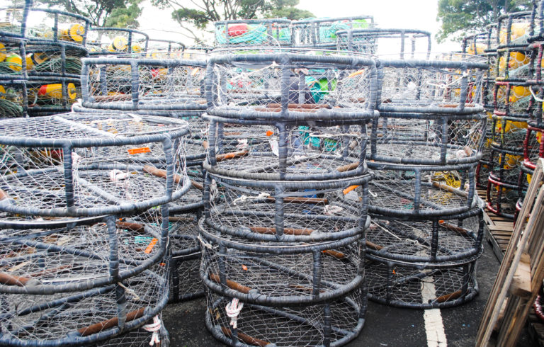 Ready and waiting for the crab fishery to open in California