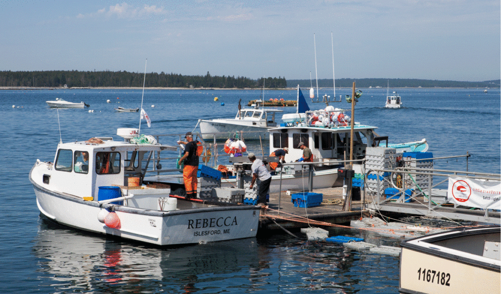 Islesford's busy waterfront.