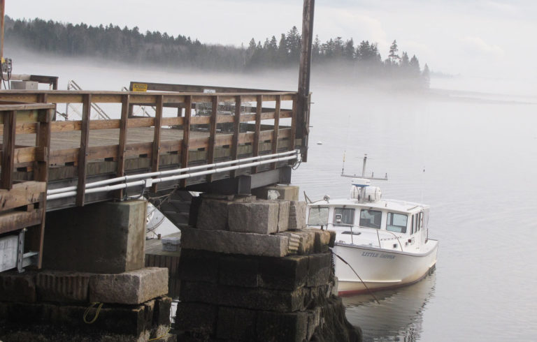 Foggy day on Islesboro