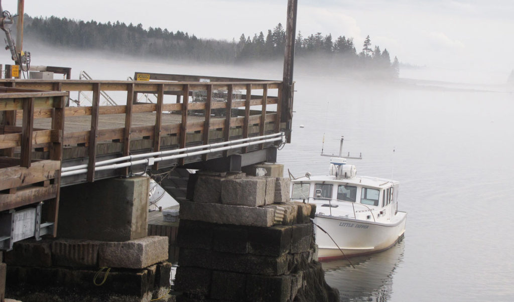 Foggy day on Islesboro.