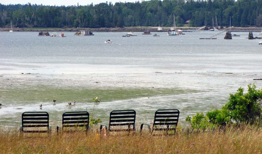 Front-row seats on Islesboro.