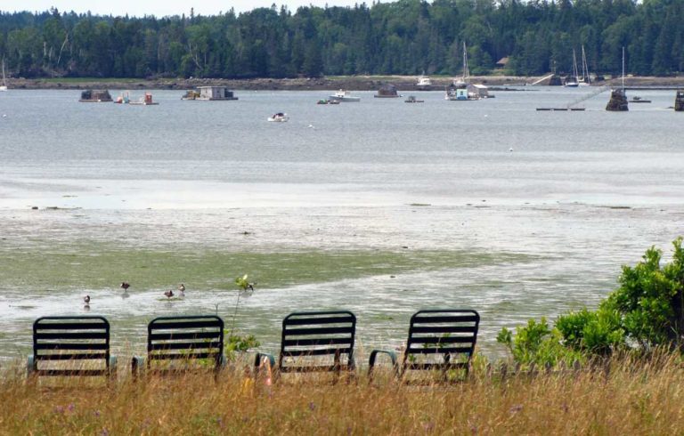 Front-row seats on Islesboro.