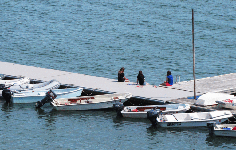 A summer scene on North Haven.