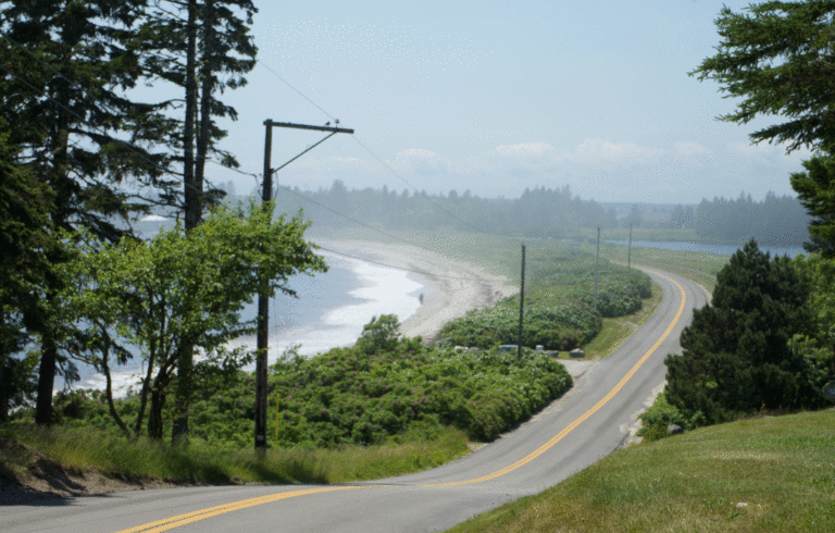 Summer haze over Roque Bluffs State Park.