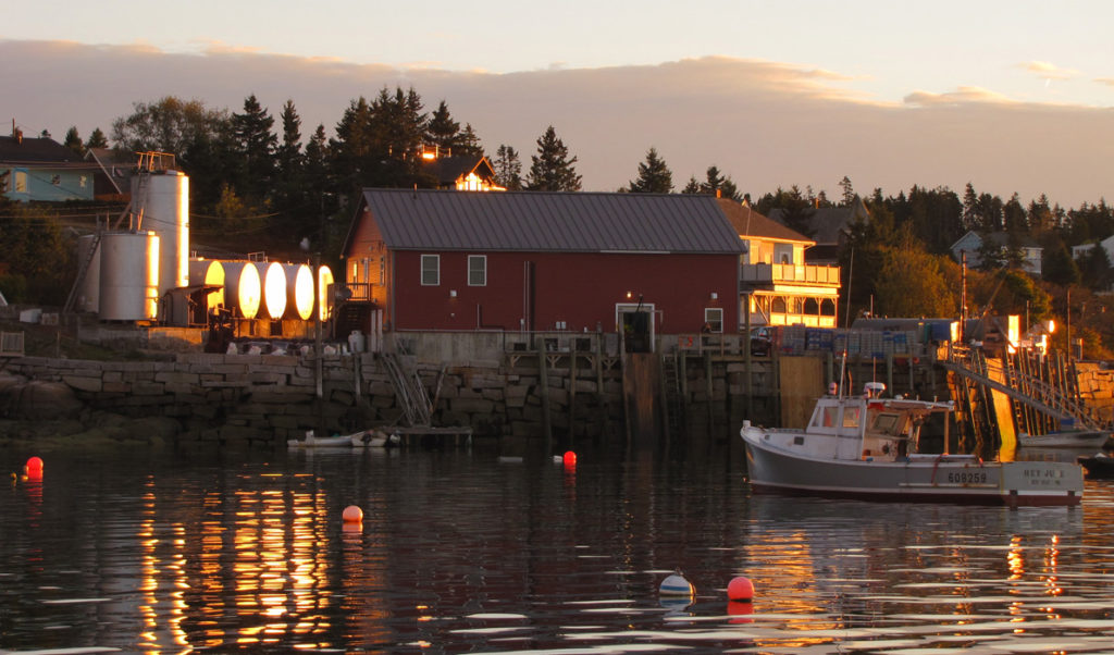 Stonington's harbor at dawn.