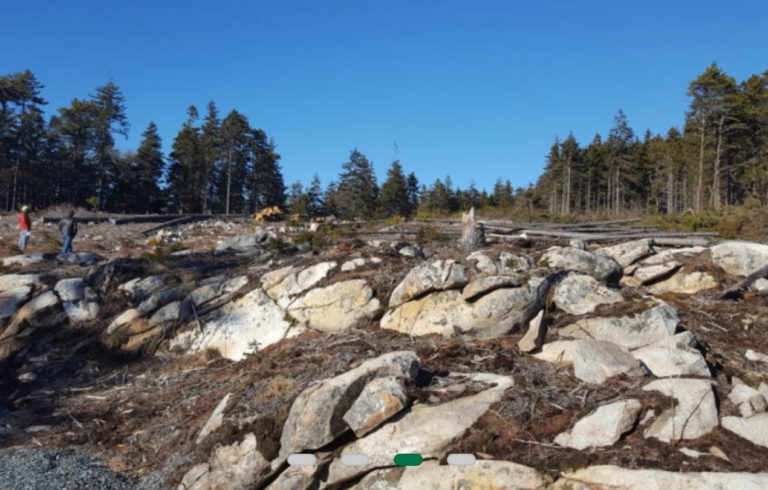 The field on Isle au Haut where a solar array will be installed to power the remote island. Excess power from the array will be turned into thermal heat for buildings and homes on the island.