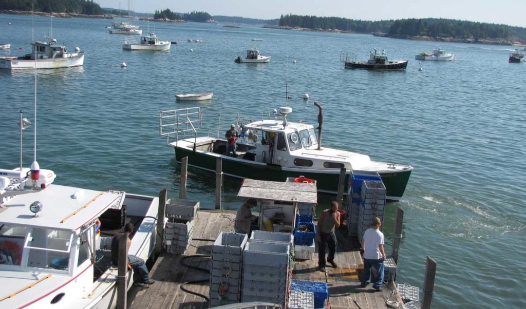 Fishermen unload their catch at one of Stonington's buying stations last September.