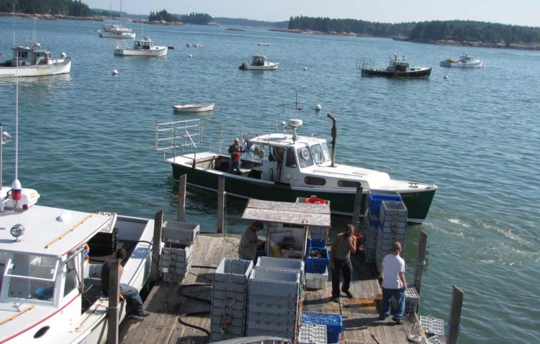 Fishermen unload their catch at one of Stonington's buying stations last September.