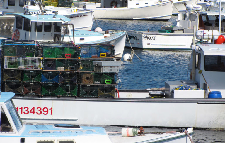Lobster boats in Vinalhaven's Carver's Harbor.