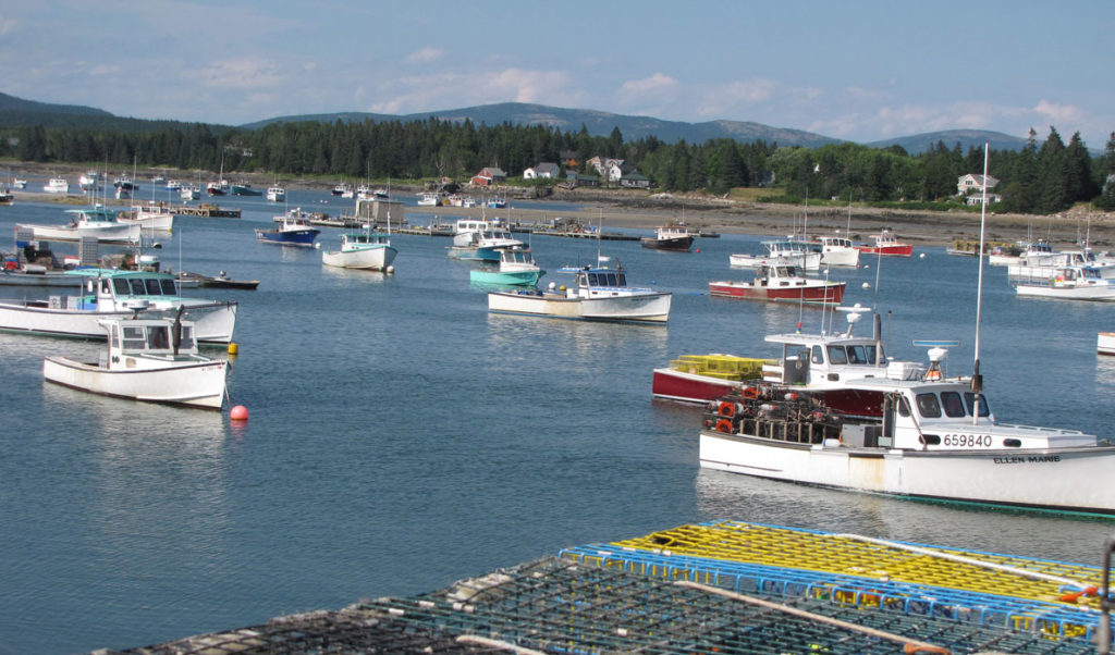 Where on the Maine coast?