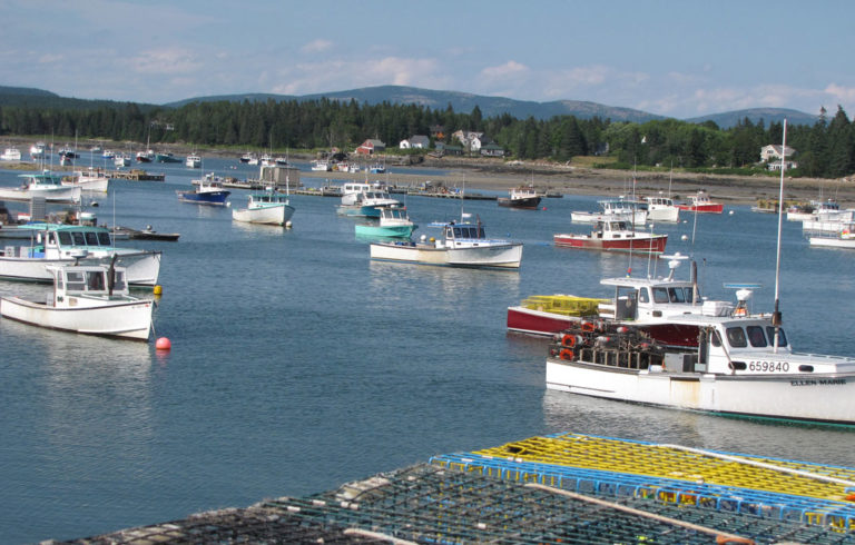 Where on the Maine coast?