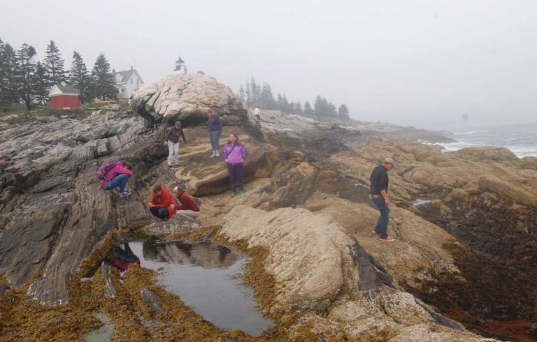 SEA Fellows at Pemaquid Point.