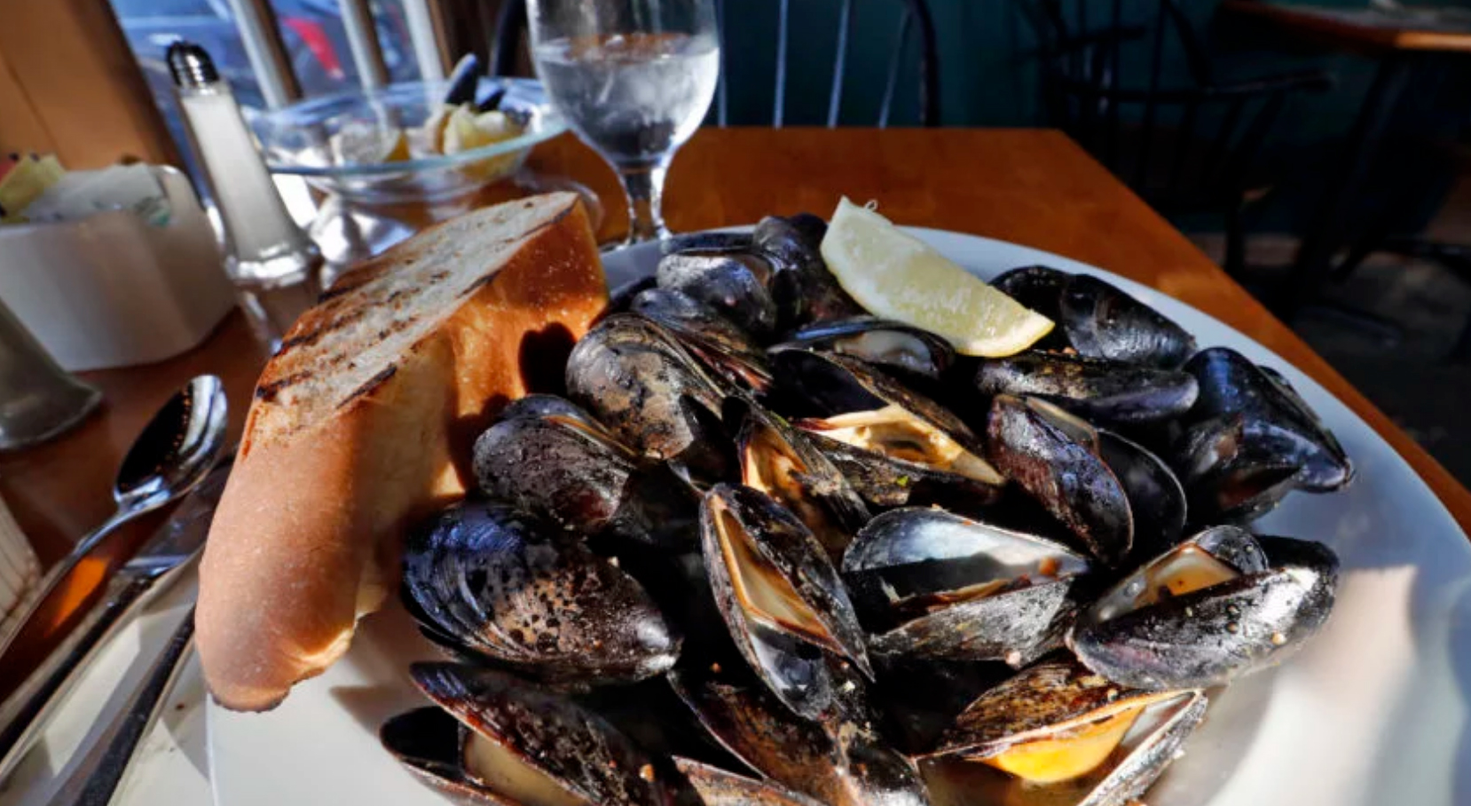 Maine had worst year for mussel harvest in 4 decades last year Island Institute