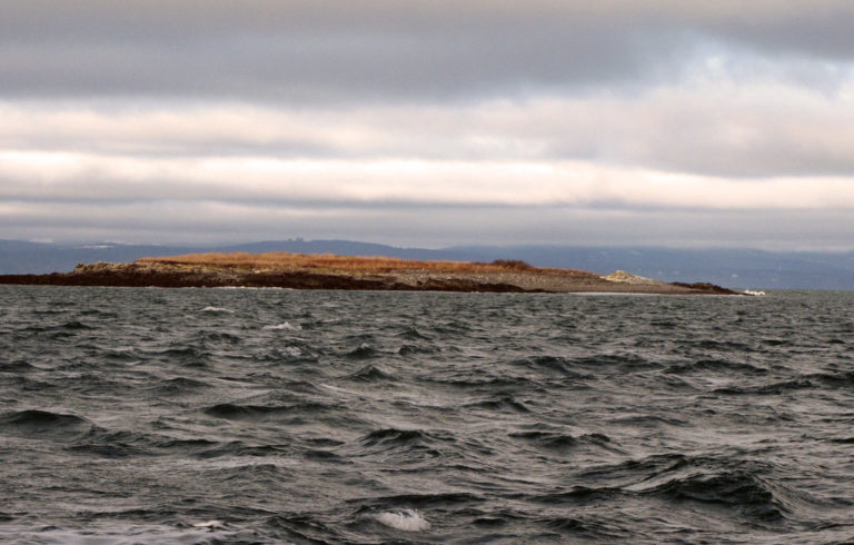 A small island near North Haven