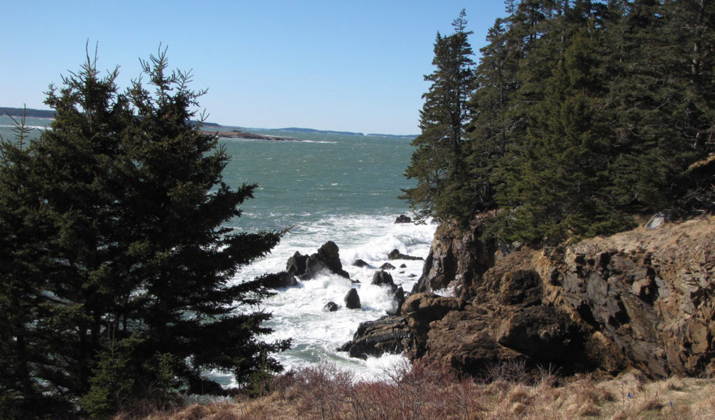 Waves crashing on the Swan's Island shore.