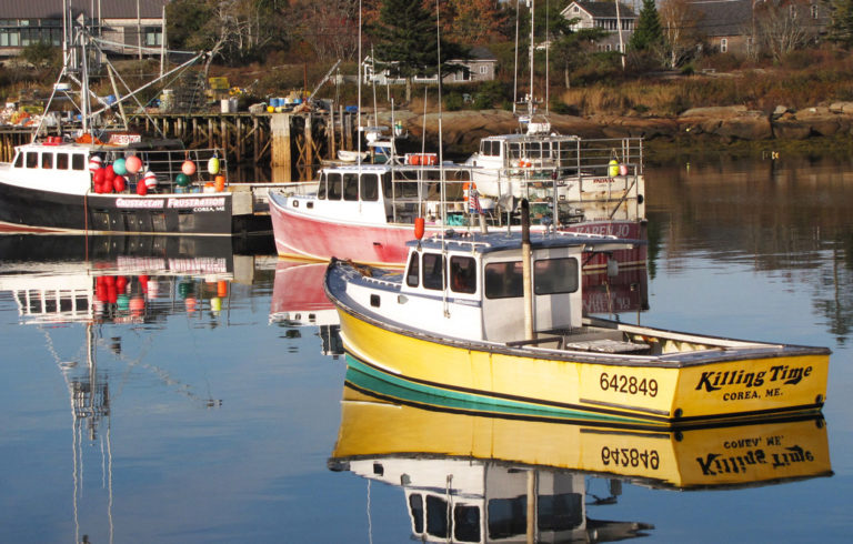 Lobster boats moored in Corea Harbor in autumn.