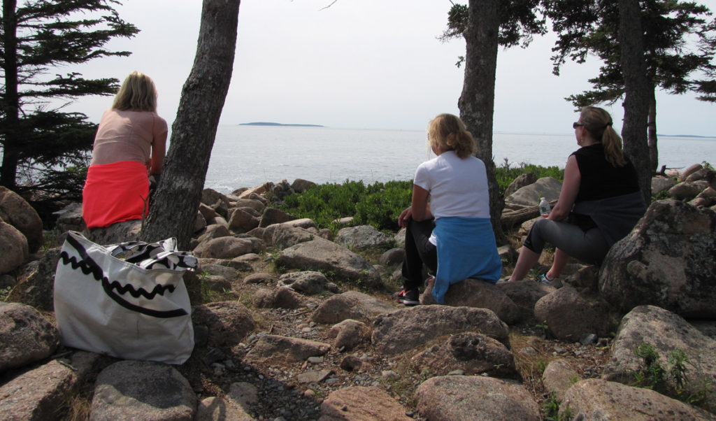 Sitting on Great Cranberry Island's back shore