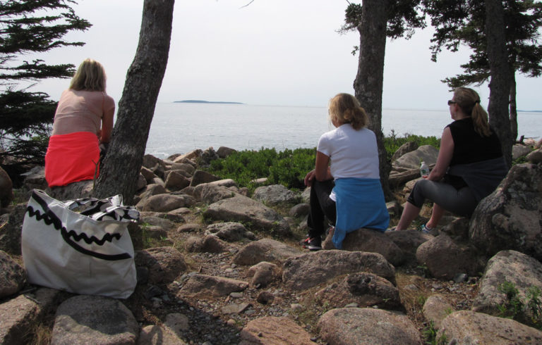 Sitting on Great Cranberry Island's back shore