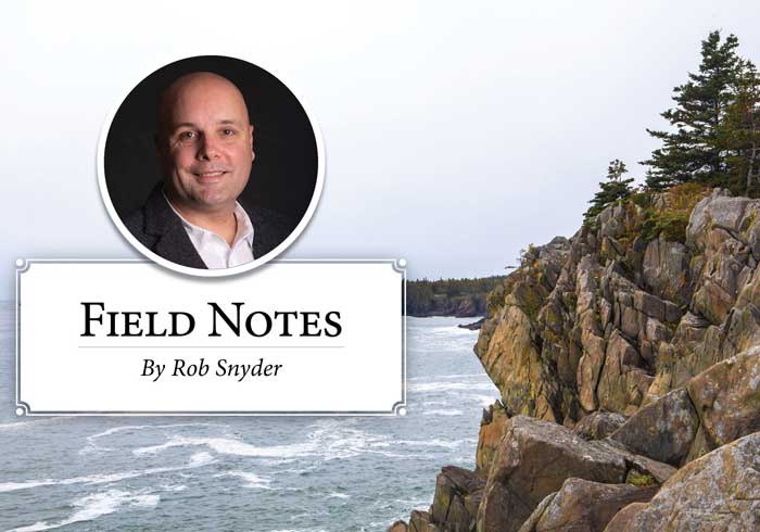 Field Notes