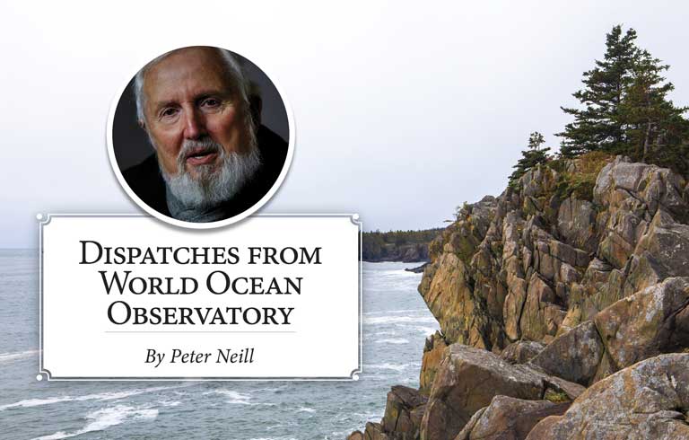 Word Ocean Observatory