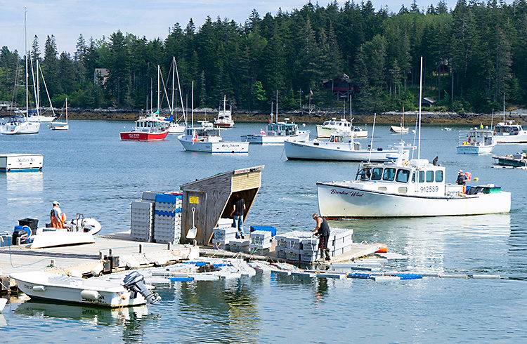 Tentants Harbor