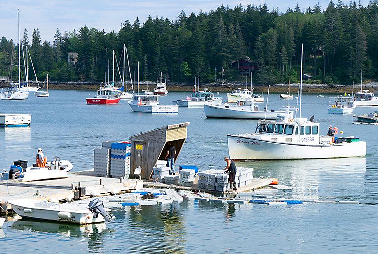 Tentants Harbor