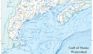 Gulf of Maine watershed