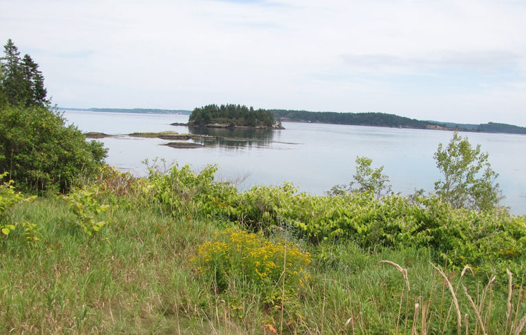 Island off North Lubec