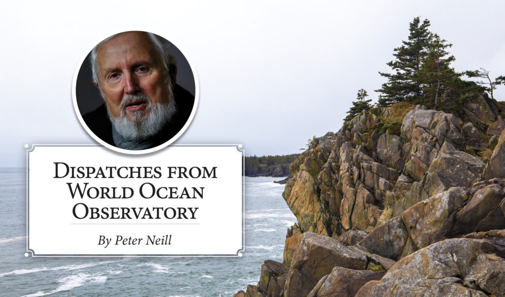 World Ocean Observatory