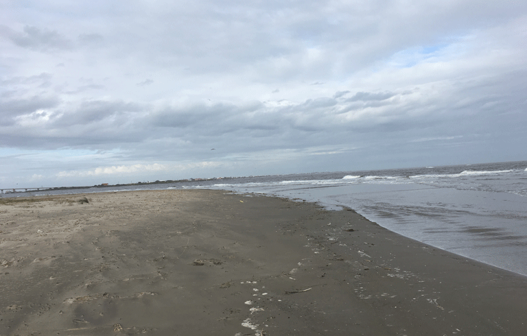 The beach on Elmer’s Island where the bottle was found. PHOTO: COURTESY TIM FARRELLY