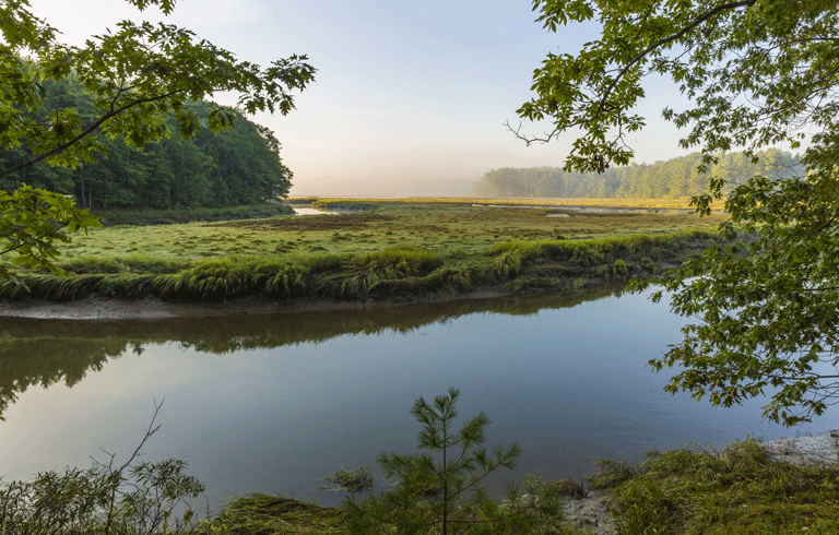 York River