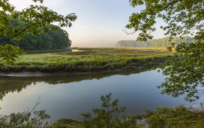 York River