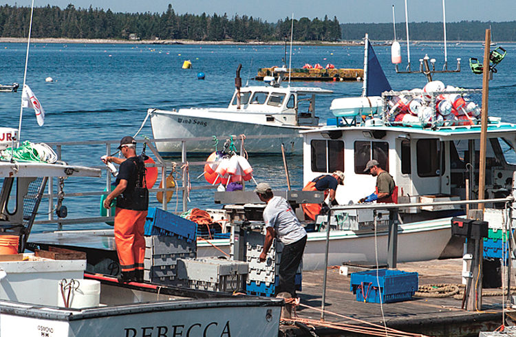 Cranberry Isles