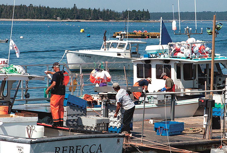 Cranberry Isles