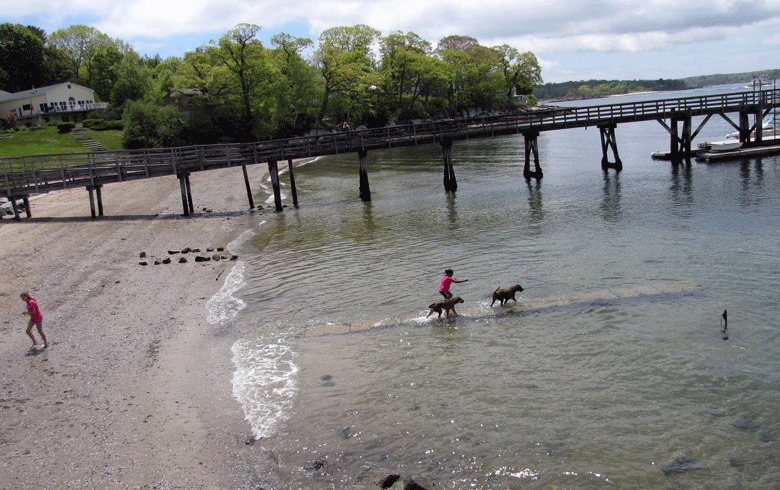 A spring scene on the Peaks Island shore. FILE PHOTO: TOM GROENING