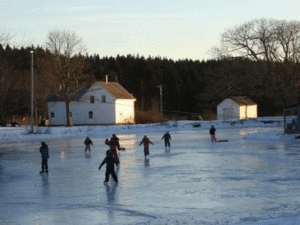 Skaters enjoy the pond.