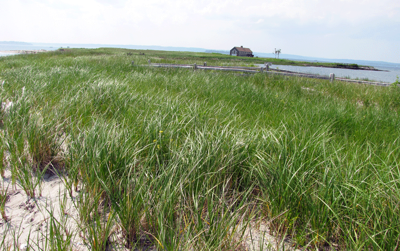 A beach house on Chebeague Island.