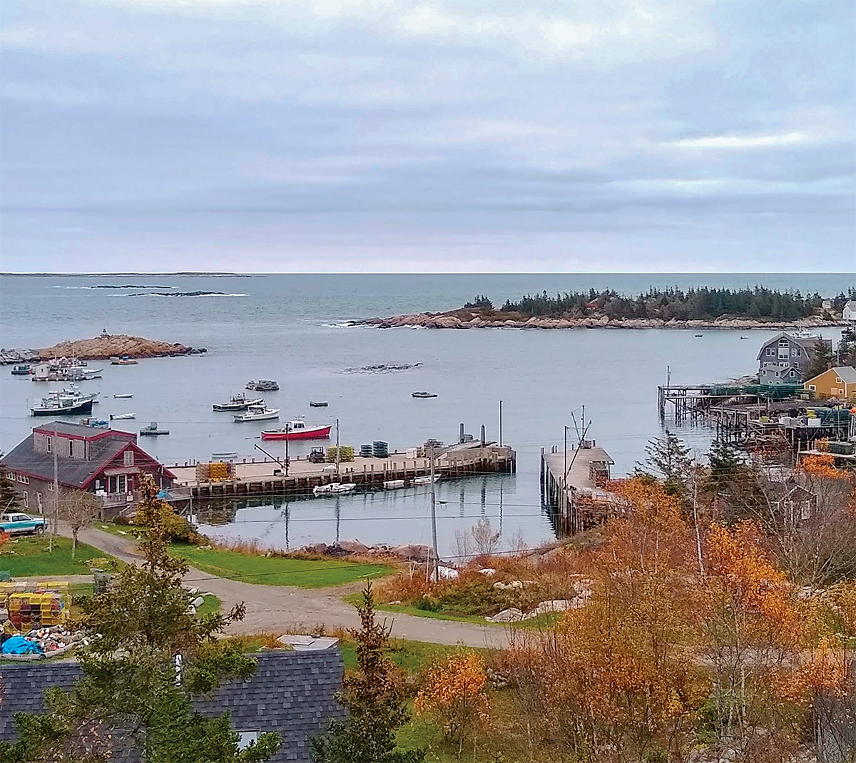Matinicus Island Institute