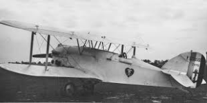 The “White Bird,” which some theorize was the first plane to cross the Atlantic.