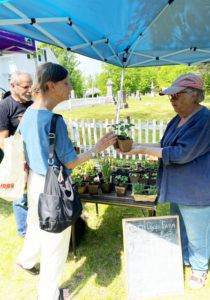 Sandy Oliver, right, at the farmers market.