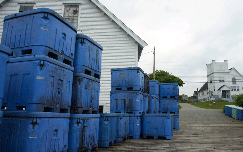 Bait bins in Cutler.